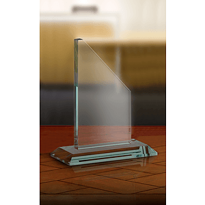 Small Tower Award
