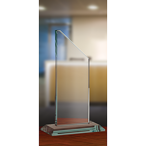 Medium Tower Award