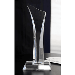 Torrent Award
