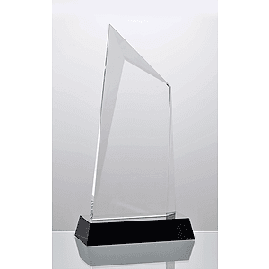 Crystal Summit Award