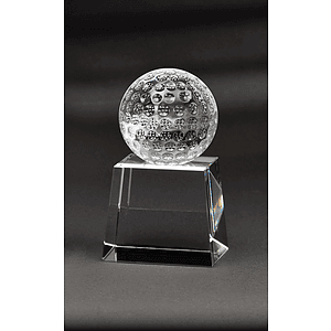 Medium Westminster Award