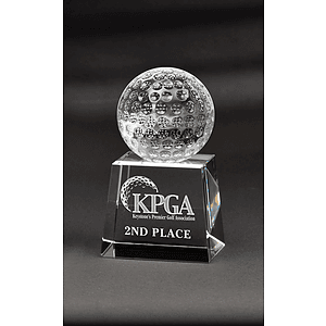 Medium Westminster Award