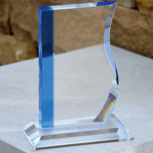 The Mini Wave Award