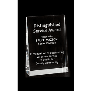 Large Wedge Award