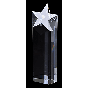 Maximum Superstar Award