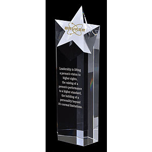 Maximum Superstar Award