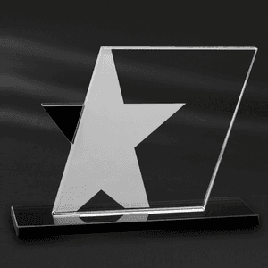 Ebony Star Award