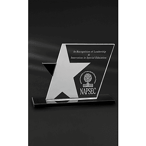 Ebony Star Award