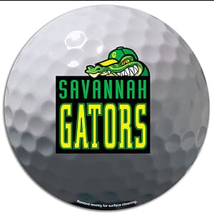 Circle 5-3/4 Diameter Car Sign Magnet