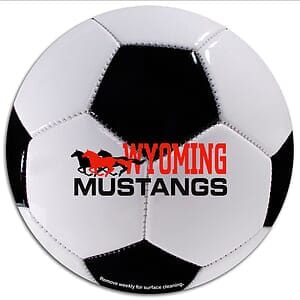 Circle 5-3/4 Diameter Car Sign Magnet