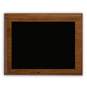 Ashford Medium Plaque Award