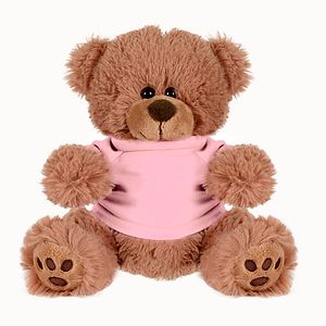 Plush Bear w Embroidered Paws and T-Shirt