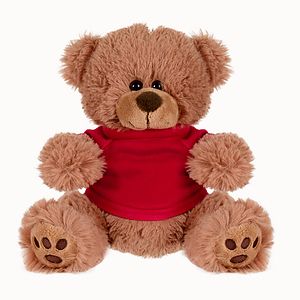 Plush Bear w Embroidered Paws and T-Shirt