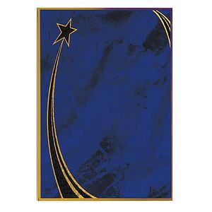 Beveled 7 x 10 Plate