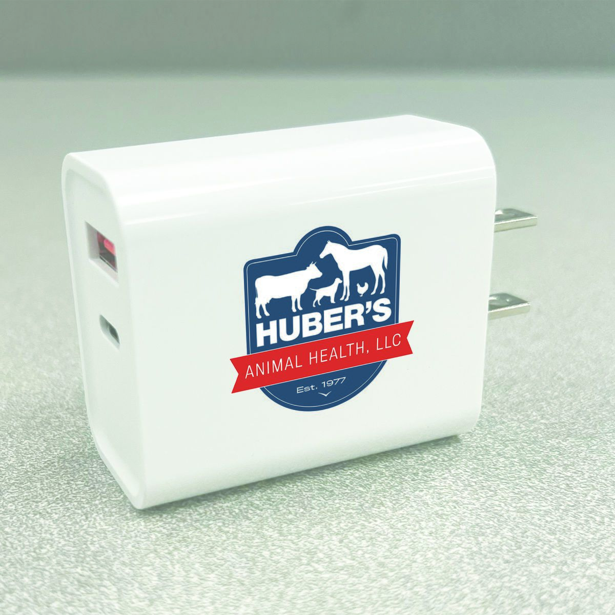 18 Watt Type C and USB Wall Adaptor