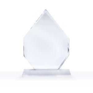 7" Arrowhead Award
