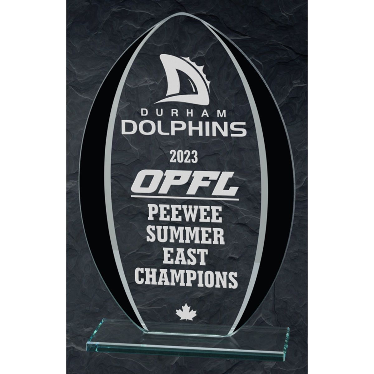 Custom Belleville black mirror, award trophy, 6 BrandExtenders