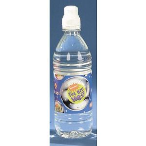 16.9 oz. Custom Label Bottled Water - Sport Cap