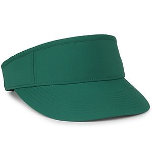 Tall Panel Visor