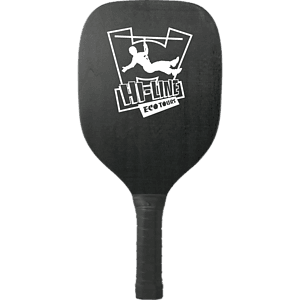 Pickleball Paddle and Ball Set