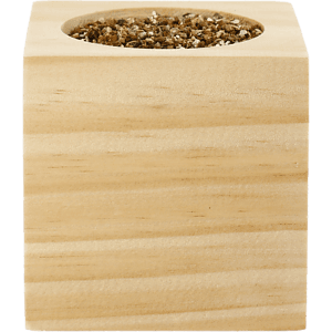 Sprigbox Cilantro Grow Kit