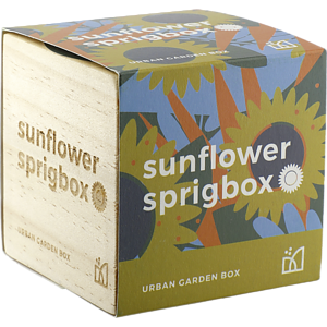 Sprigbox Sunflower Grow Kit