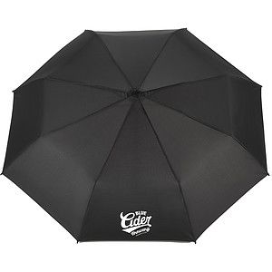 42 Auto OpenClose RPET Umbrella