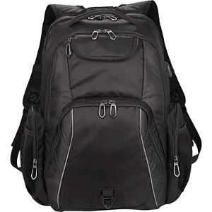 Rainier TSA 17" Computer Backpack