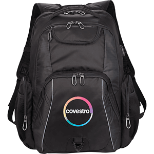 Rainier TSA 17" Computer Backpack