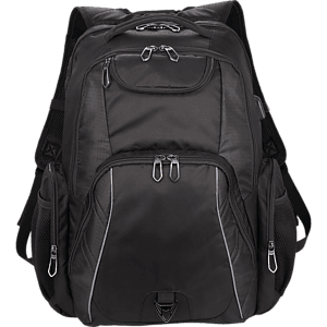 Rainier TSA 17" Computer Backpack
