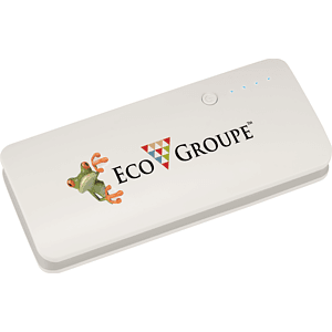 Spare 10000 mAh Power Bank