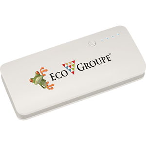 Spare 10000 mAh Power Bank
