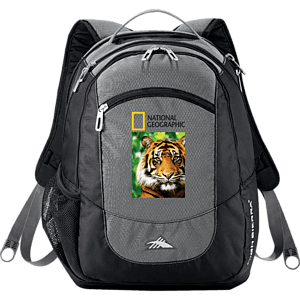 High Sierra Fly-By 17" Computer Backpack