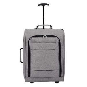 Graphite 20" Upright Luggage