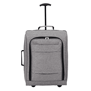 Graphite 20" Upright Luggage