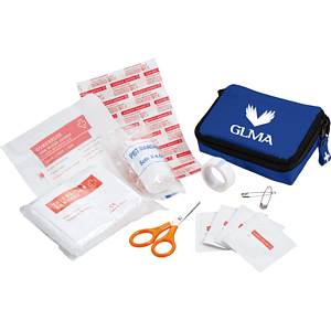 Bolt 20-Piece First Aid Kit