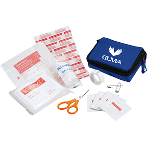 Bolt 20-Piece First Aid Kit