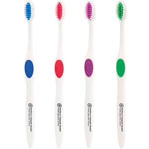 Winter Accent Toothbrush