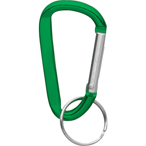 Small Carabiner Key Ring
