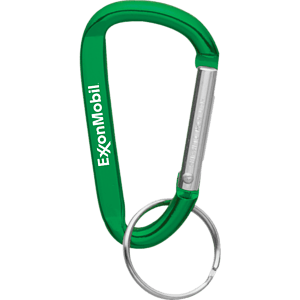 Small Carabiner Key Ring