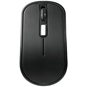 Flash Portable Wireless Mouse