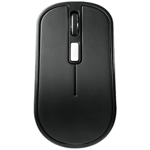 Flash Portable Wireless Mouse