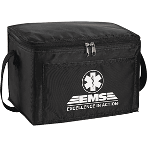 Spectrum Budget 6-Can Lunch Cooler