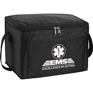 Spectrum Budget 6-Can Lunch Cooler