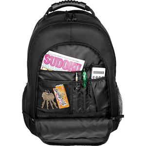 Journey 15" Computer Backpack