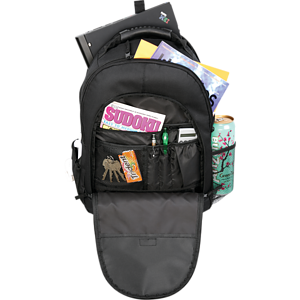 Journey 15" Computer Backpack