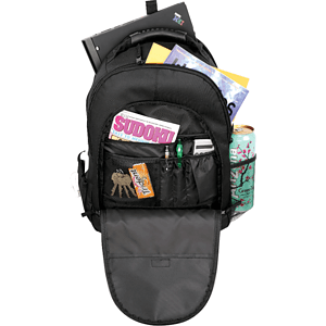 Journey 15" Computer Backpack