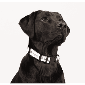 Full Color 1" Wide Adjustable Pet Collar