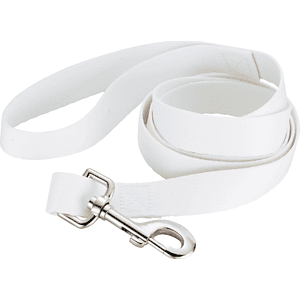 Full Color 1" Wide Premium Pet Leash