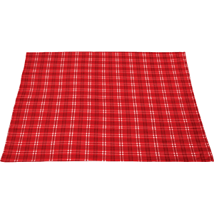 Plaid Fleece Blanket